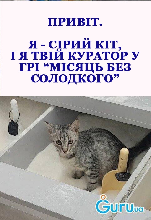 kit Економічні новини