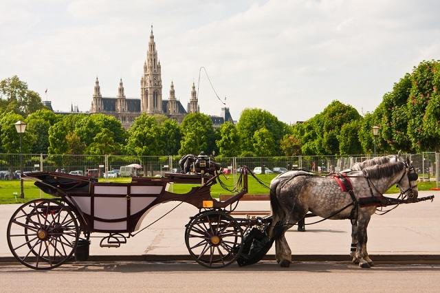 vienna1 Економічні новини