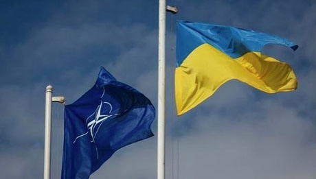 ukraine nato Економічні новини