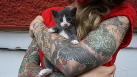 kitten rescuer is a real career and this woman has it 1446132726 e1510413379650 Економічні новини