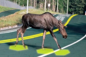 solar roadways moose Економічні новини