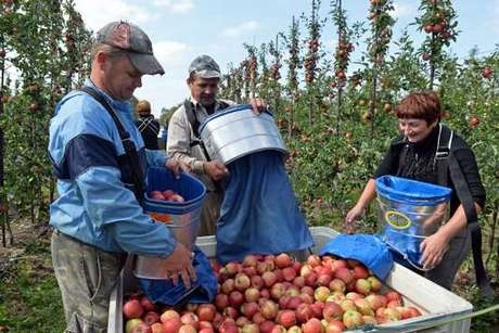 migrant Економічні новини