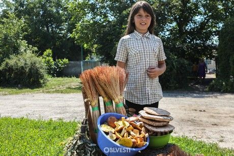 venik2 Економічні новини