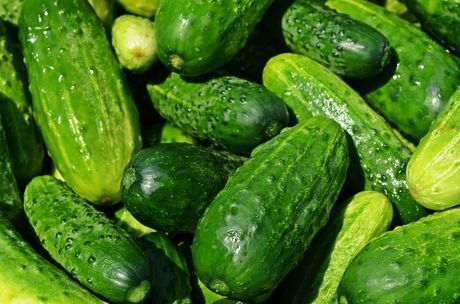 cucumbers 849269 960 720 Економічні новини