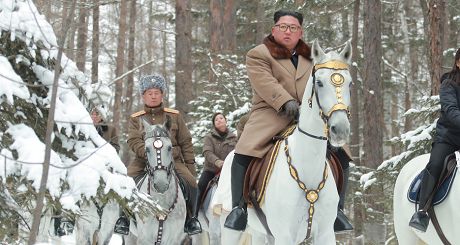 horse kju Економічні новини