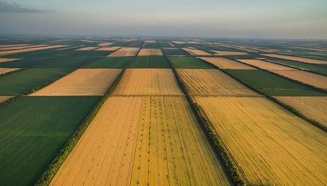 original Економічні новини