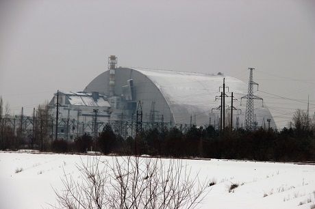 chernobyl segodnya foto mutantov lyudej i zhivotnyh Економічні новини