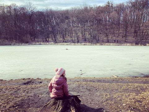 park Економічні новини