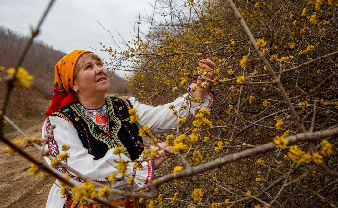 1617725668 642 Економічні новини