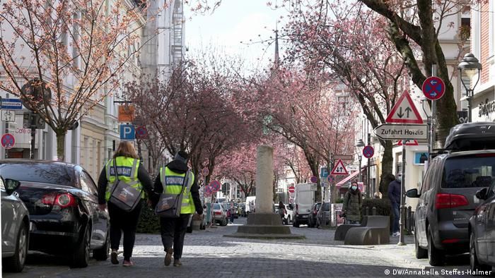 В Бонні розквітла сакура: в Мережі з’явились неймовірні фото (ФОТО)