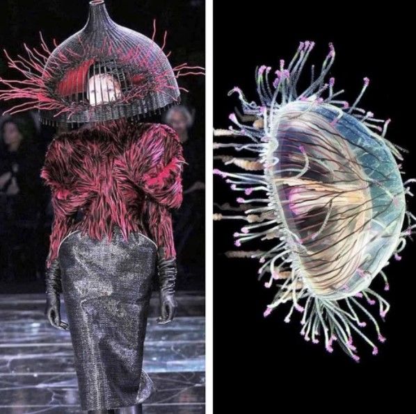 screenshot 83 Економічні новини