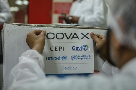 covax covid 19 vaccine Економічні новини