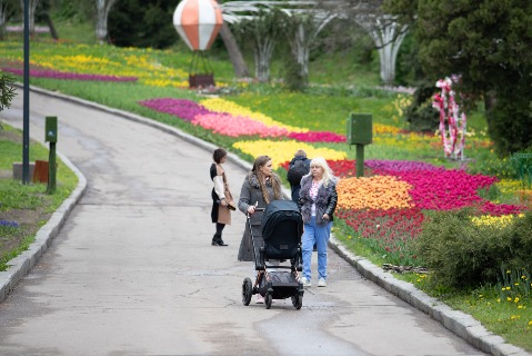 cvetyĭ15 Економічні новини