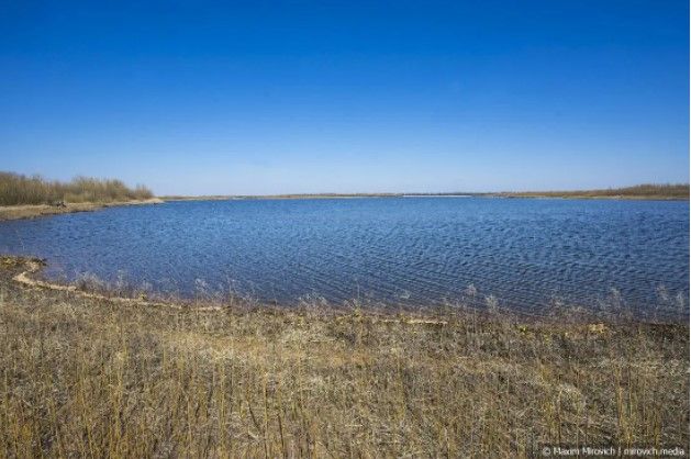 В Чернобыле высох пруд-охладитель ЧАЭС: впечатляющие фото