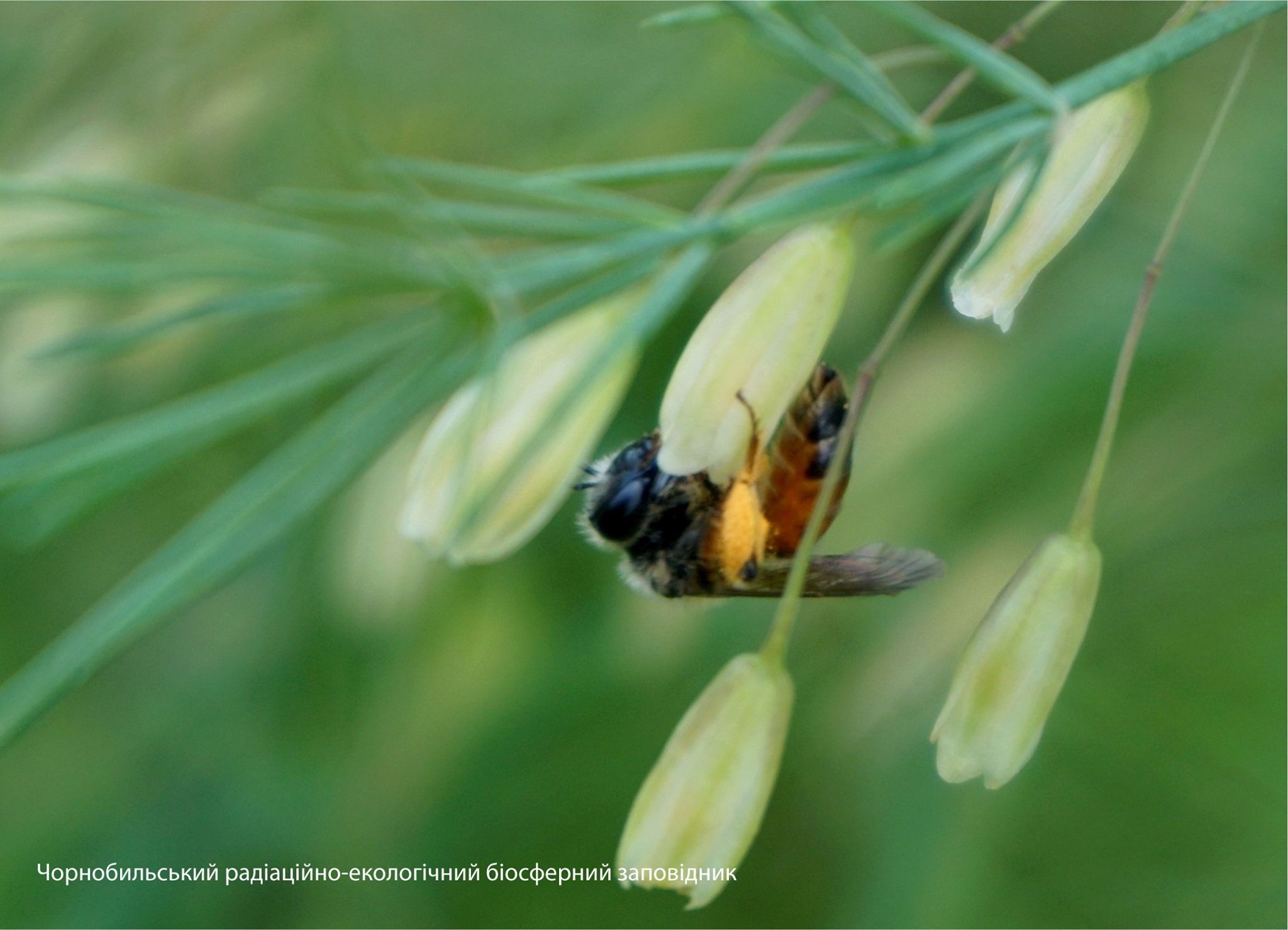 203946287 955115261712228 1253295707654521823 n Економічні новини