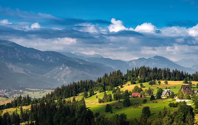 bukovel Економічні новини