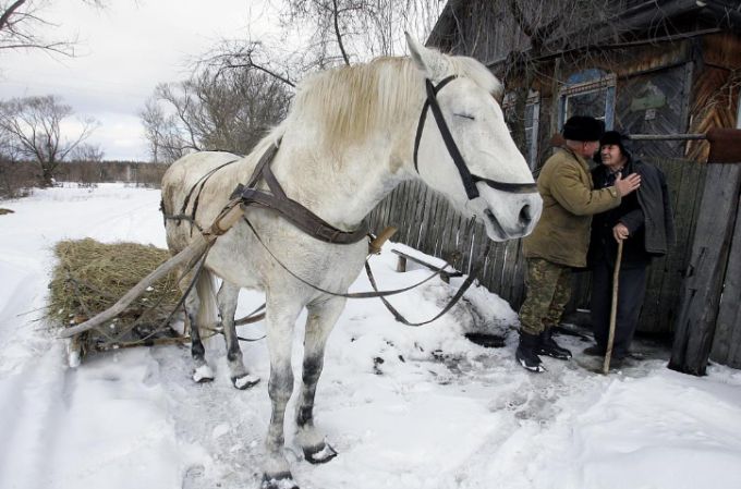 chernobyl6 Економічні новини