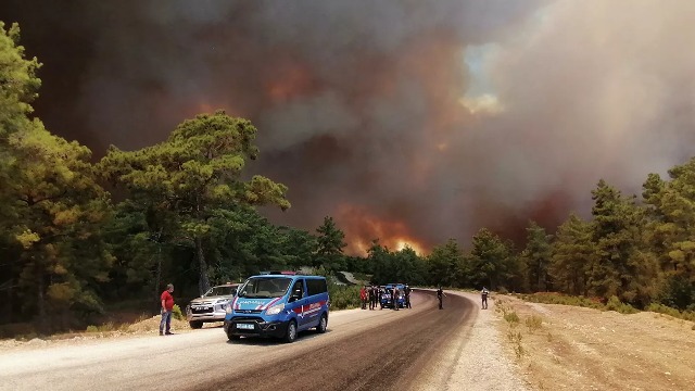 pozhar8 1 Економічні новини