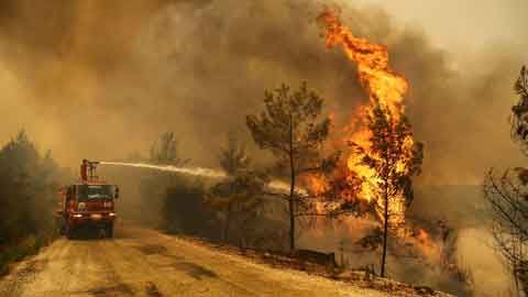 skynews turkey wildfire 5463283 Економічні новини