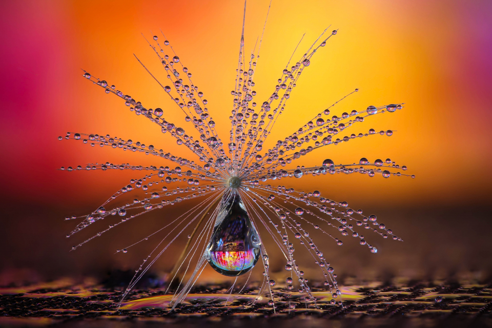 Наш мир прекрасен: 10 невероятных фото с конкурса CEWE Photo Award 2021