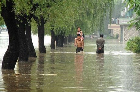 north korea reports heavy rain after july dry spell Економічні новини