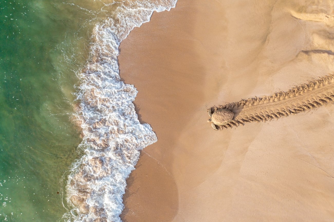 Визначено переможців фотоконкурсу Drone Photo Awards 2021 (ФОТО)