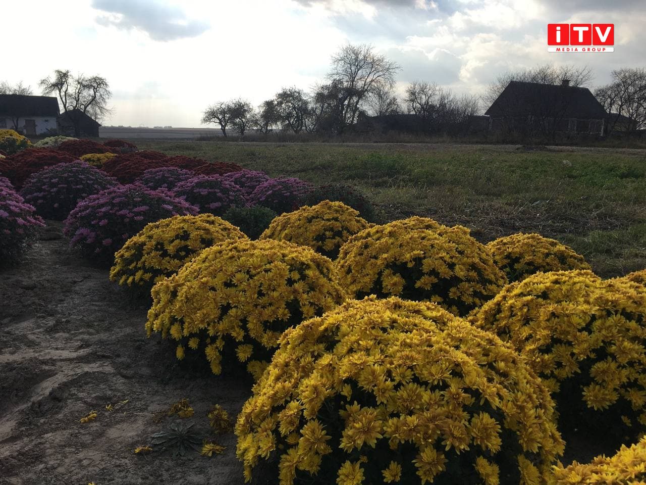 20211027 8836 Економічні новини - головні новини України та світу