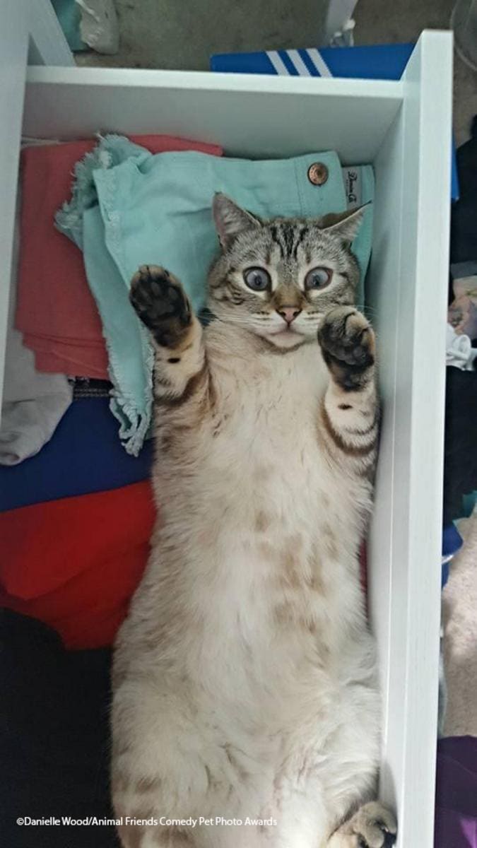 a8cc08e96a6eaff5ab6b70dd81f87e5d Економічні новини