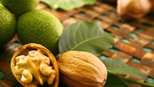 greckij oreh Економічні новини - головні новини України та світу