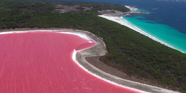 pink lake hillier 1558081347 e1558081369693 630x317 1 Економічні новини - головні новини України та світу