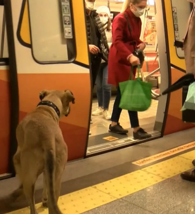 screenshot 10 4 Економічні новини