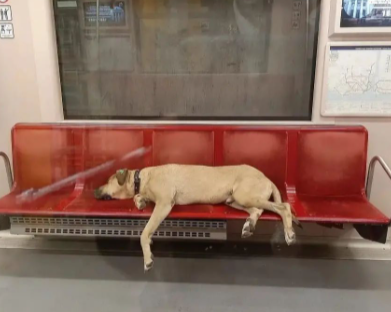 screenshot 11 3 Економічні новини