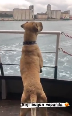 screenshot 12 3 Економічні новини