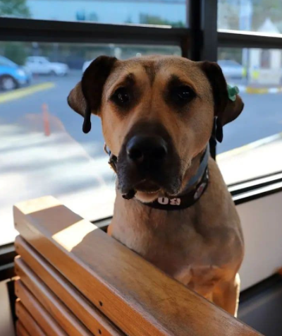 screenshot 13 3 Економічні новини