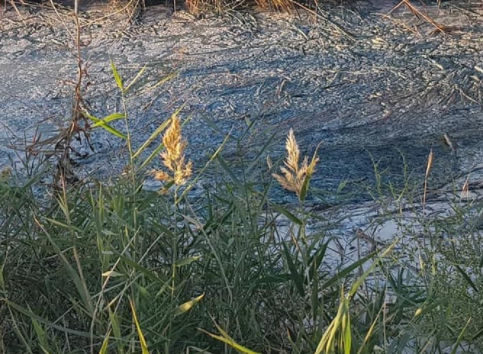 screenshot 6 3 Економічні новини