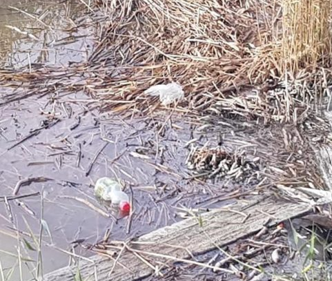 screenshot 8 2 Економічні новини