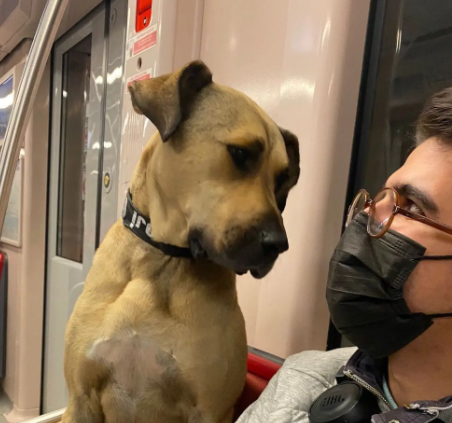 screenshot 9 6 Економічні новини