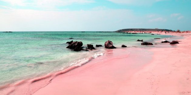 spiaggia rosa budelli arcipelago di la maddalena olbiatempio 1558082422 e1558082448842 630x314 1 Економічні новини - головні новини України та світу