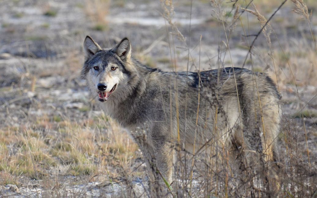 d8139f3d0988a678cf5b3d760673f3cb Економічні новини - головні новини України та світу