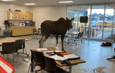 screenshot 13 1 Економічні новини