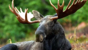 screenshot 14 1 Економічні новини