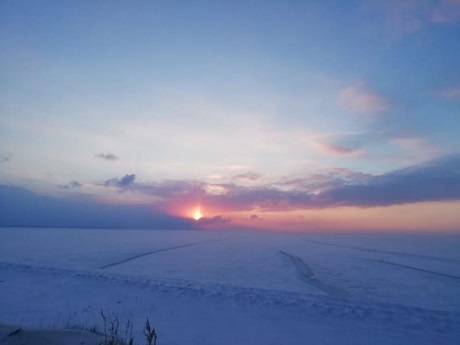 Економічні новини