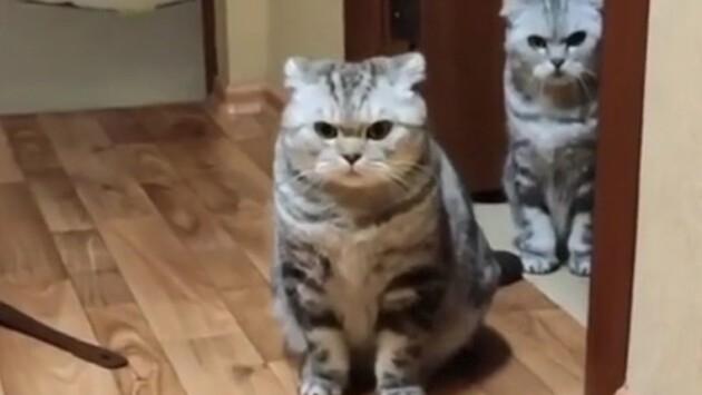 screenshot 4 27 Економічні новини