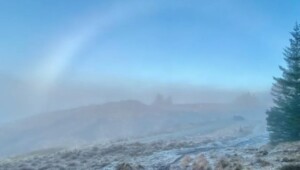 screenshot 50 1 Економічні новини