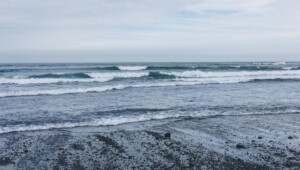 1641472772 3571 Економічні новини