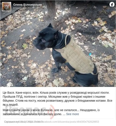 foto1 Економічні новини - головні новини України та світу