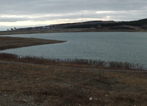 screenshot 35 Економічні новини