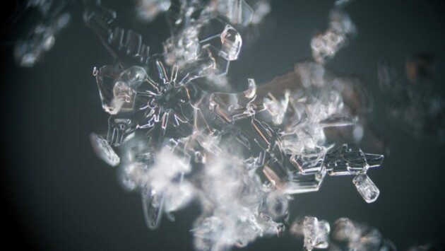 real 9de164c9 68b9 4f48 818b d250705b9e7e Економічні новини