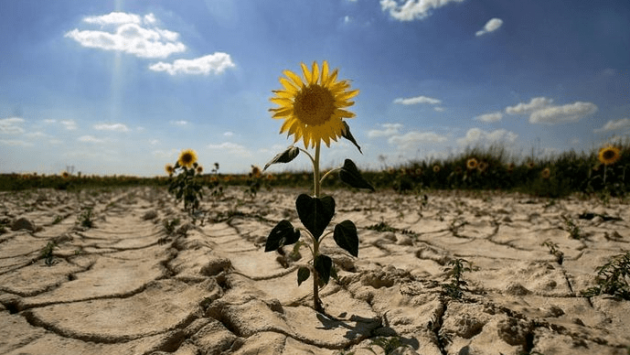 food crisis Економічні новини - головні новини України та світу