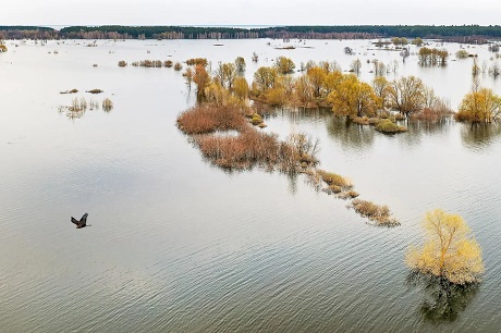 2807 Економічні новини - головні новини України та світу